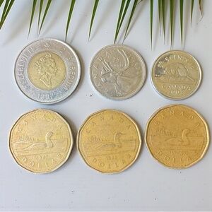 Canada Coin Lot (6) Vintage Canadian Dollars + Quarter + Nickel | 1987–2003